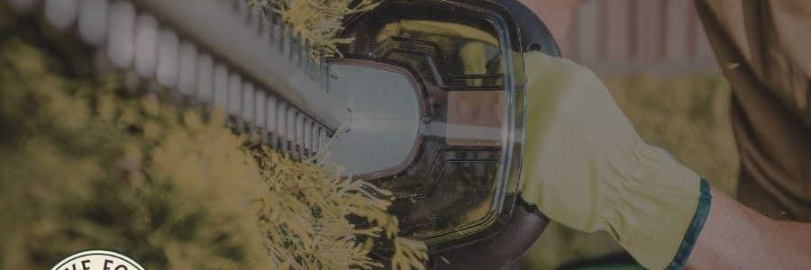 Professional gardener trimming hedge with electric hedge trimmer in garden.