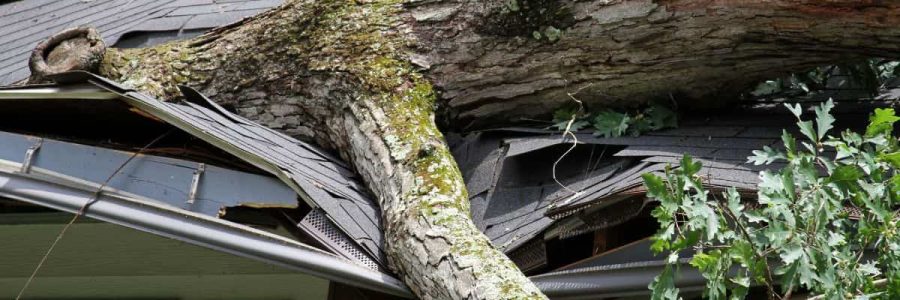 Storm damaged tree fallen on house roof, causing structural damage and potential safety hazards.