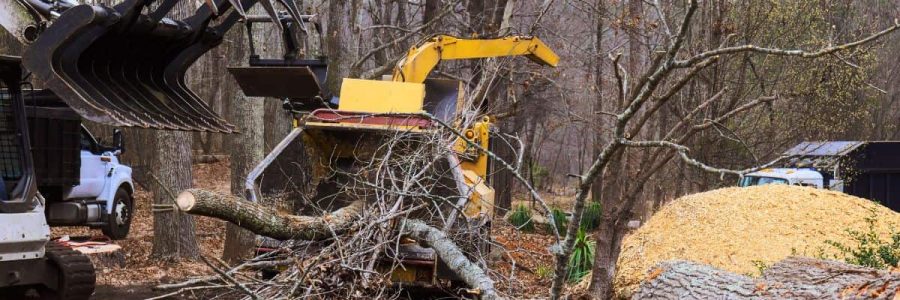 Heavy machinery removing a fallen tree in a woodland area.